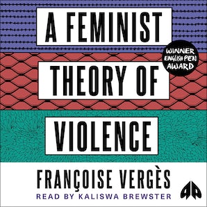 A Feminist Theory of Violence