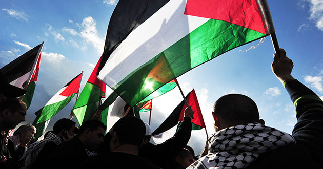 Pluto Press Palestine