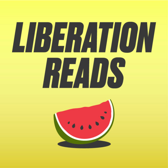 Pluto Press liberation book sale palestine